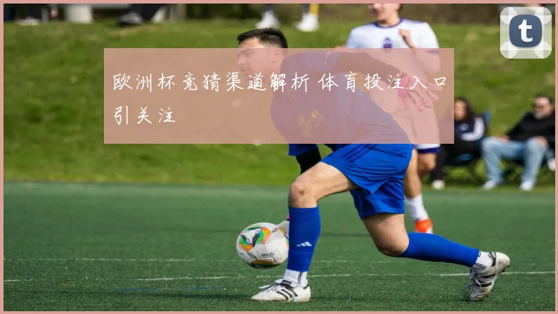 欧洲杯竞猜渠道解析 体育投注入口引关注