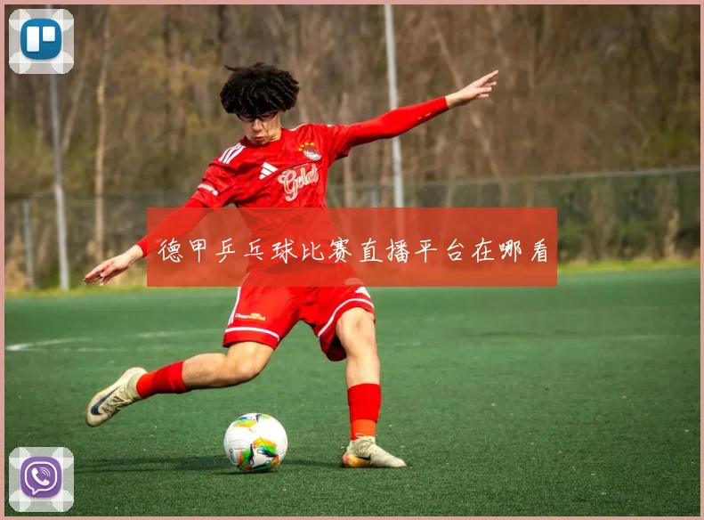 德甲乒乓球比赛直播平台在哪看