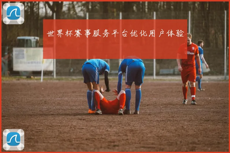 世界杯赛事服务平台优化用户体验