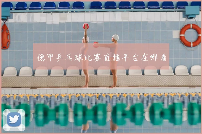 德甲乒乓球比赛直播平台在哪看