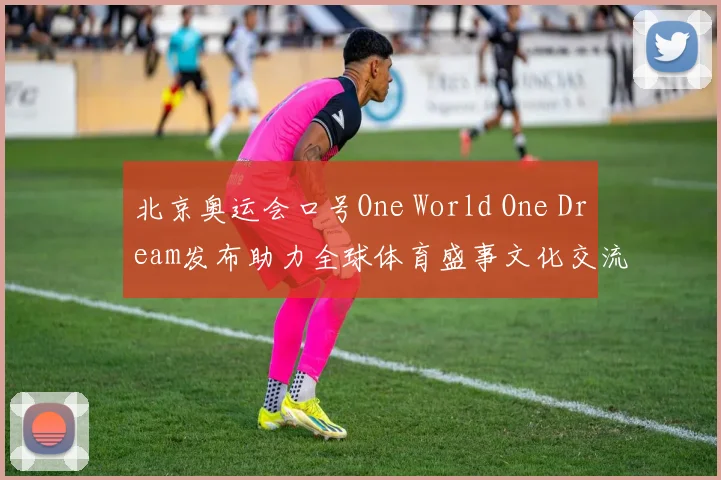 北京奥运会口号One World One Dream发布助力全球体育盛事文化交流